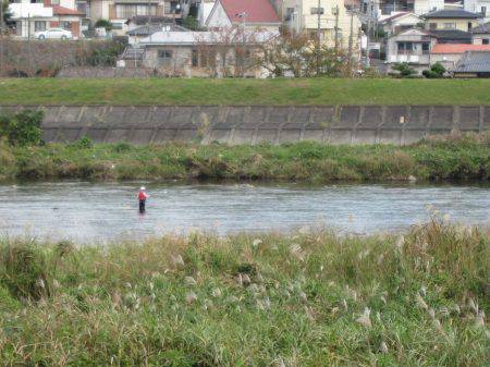 狩野川（狩野川漁業協同組合） 釣果