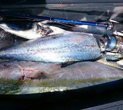 IDATEN(イダテン) 釣果