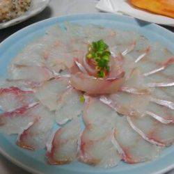 東京湾探釣隊ぼっち 釣果