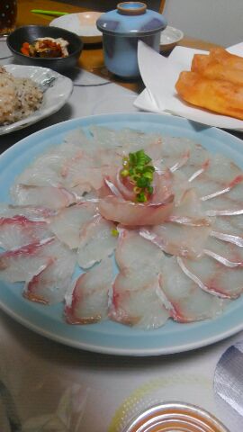 東京湾探釣隊ぼっち 釣果