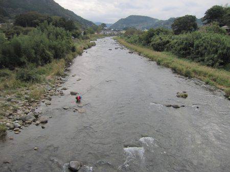 狩野川(狩野川漁業協同組合) 釣果