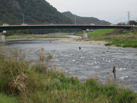 狩野川(狩野川漁業協同組合) 釣果