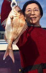 YELLOW-TAIL　イエローテール 釣…