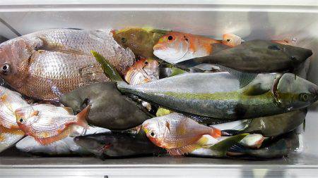 第三むつりょう丸 釣果