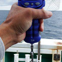 第三むつりょう丸 釣果