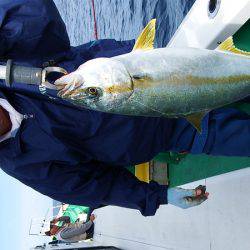 第三むつりょう丸 釣果