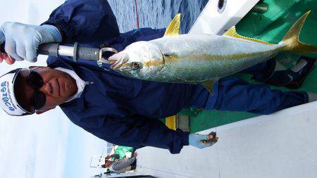 第三むつりょう丸 釣果