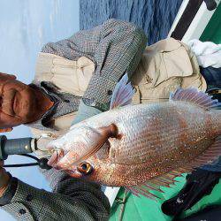 第三むつりょう丸 釣果