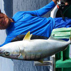第三むつりょう丸 釣果