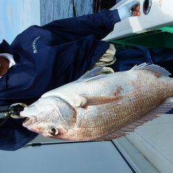 第三むつりょう丸 釣果