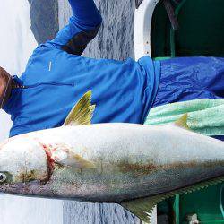 第三むつりょう丸 釣果