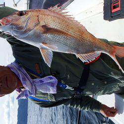 第三むつりょう丸 釣果