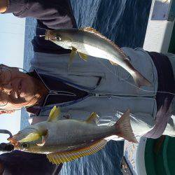 第三むつりょう丸 釣果