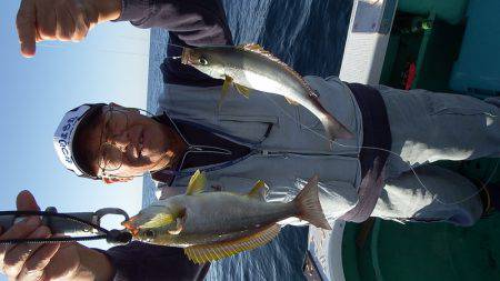 第三むつりょう丸 釣果