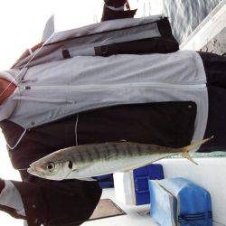 第三むつりょう丸 釣果