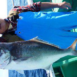 第三むつりょう丸 釣果