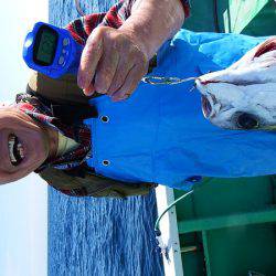 第三むつりょう丸 釣果