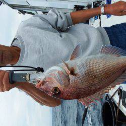 第三むつりょう丸 釣果