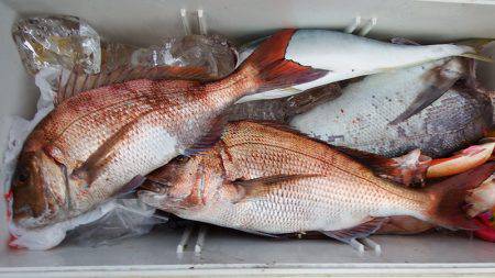 第三むつりょう丸 釣果