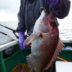 第三むつりょう丸 釣果