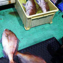 第三むつりょう丸 釣果