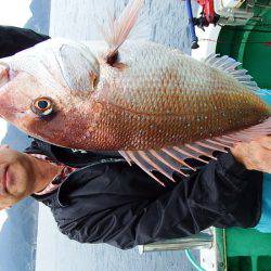 第三むつりょう丸 釣果