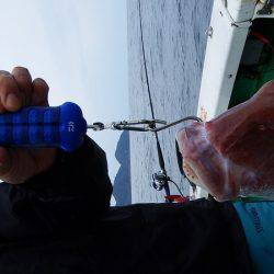 第三むつりょう丸 釣果