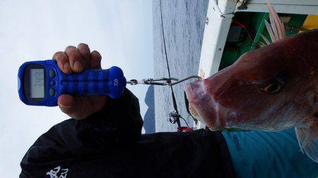 第三むつりょう丸 釣果