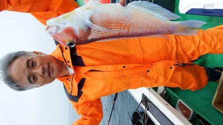 第三むつりょう丸 釣果