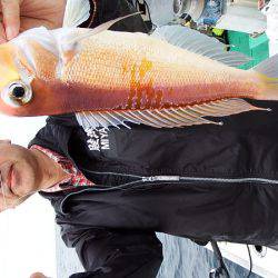 第三むつりょう丸 釣果