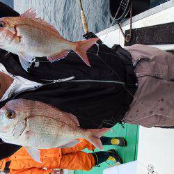 第三むつりょう丸 釣果