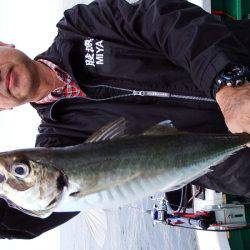 第三むつりょう丸 釣果