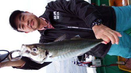 第三むつりょう丸 釣果