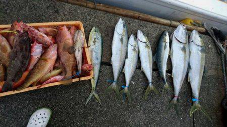 黒潮丸 釣果