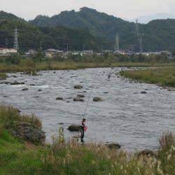 狩野川(狩野川漁業協同組合) 釣果