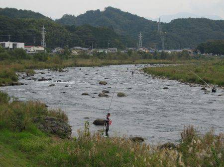 狩野川(狩野川漁業協同組合) 釣果