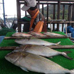 カタタのつり堀 釣果