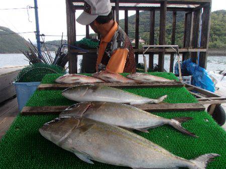 カタタのつり堀 釣果