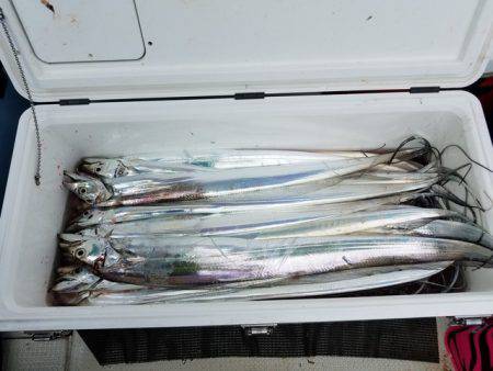 遊漁船　ニライカナイ 釣果