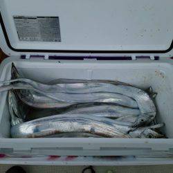 遊漁船　ニライカナイ 釣果