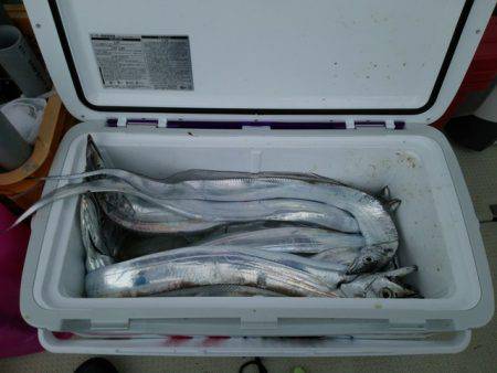 遊漁船　ニライカナイ 釣果