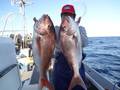 里輝丸 釣果