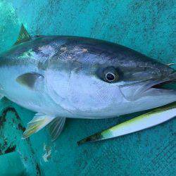 広進丸 釣果