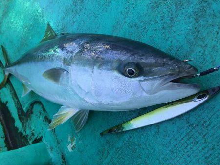 広進丸 釣果