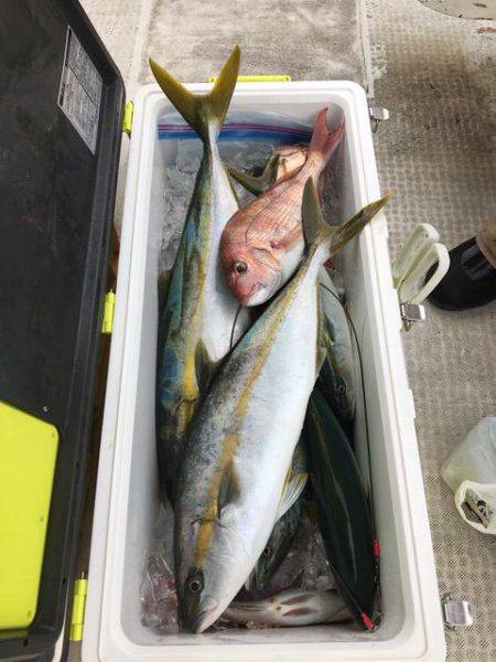 龍宮丸 釣果