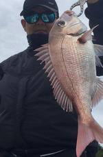 YELLOW-TAIL イエローテール 釣果