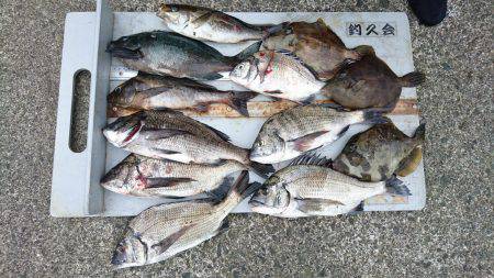 坂下丸 釣果