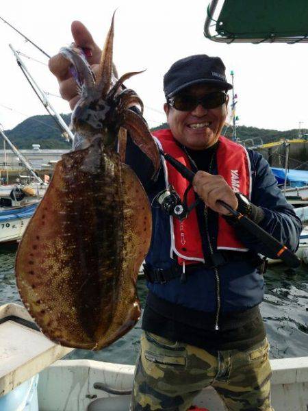 Magic(マジック) 釣果