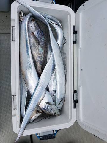 遊漁船　ニライカナイ 釣果