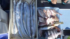 石川丸 釣果